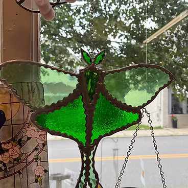 Large Luna Moth